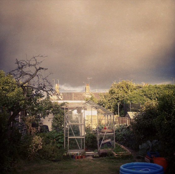 winter greenhouse