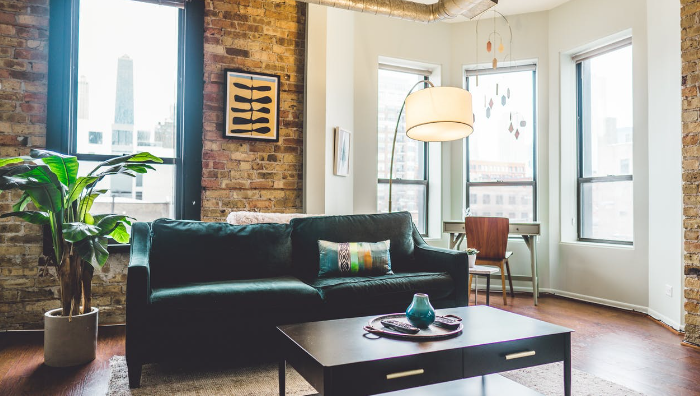 A modern apartment rental with indoor plants